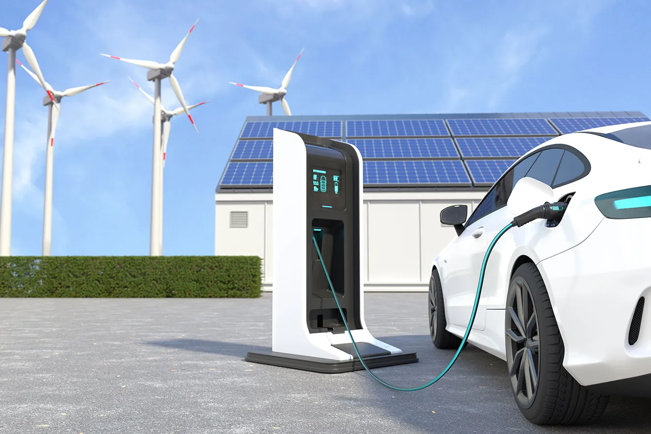 Weather Strip Seal Express